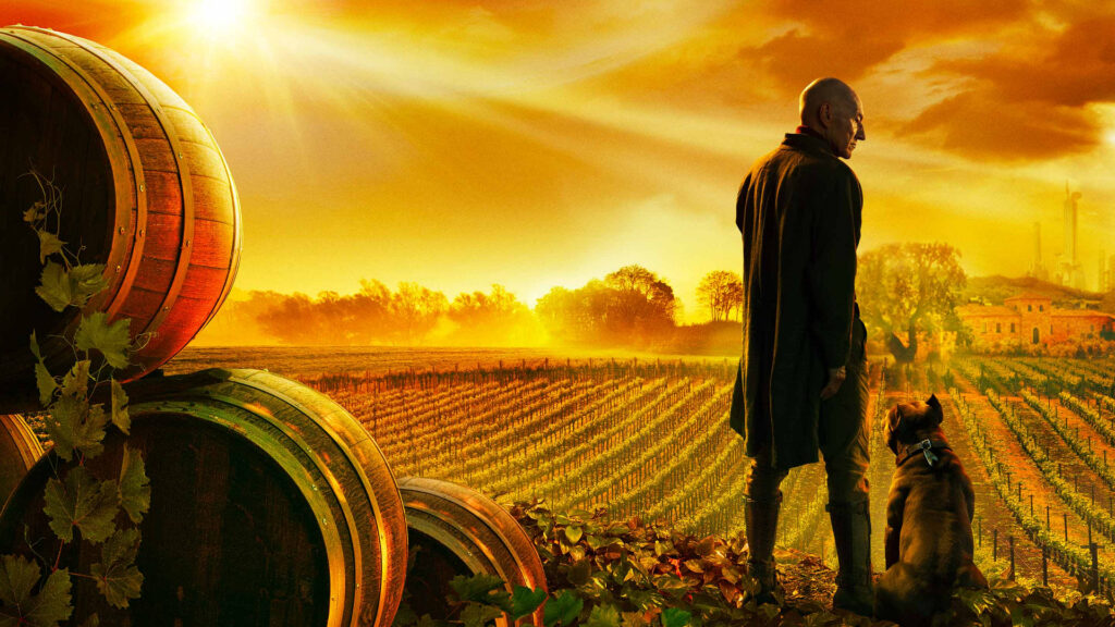 Picard in the Vineyard