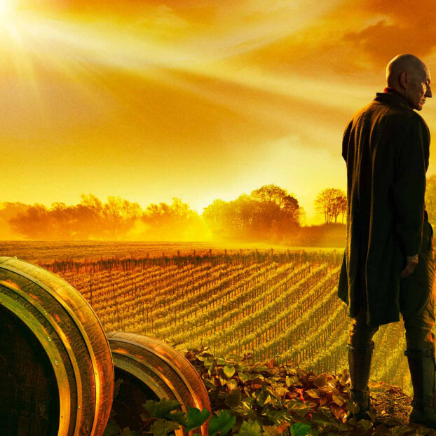 Picard in the Vineyard